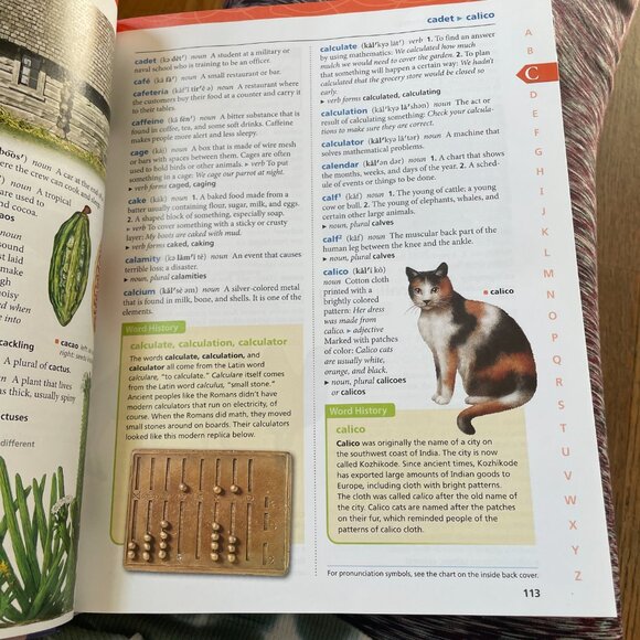 American  Heritage Children's Dictionary - Picture 3 of 3